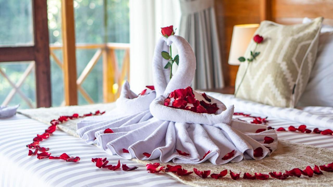 Anja Villas Ubud Tegallalang  Esterno foto