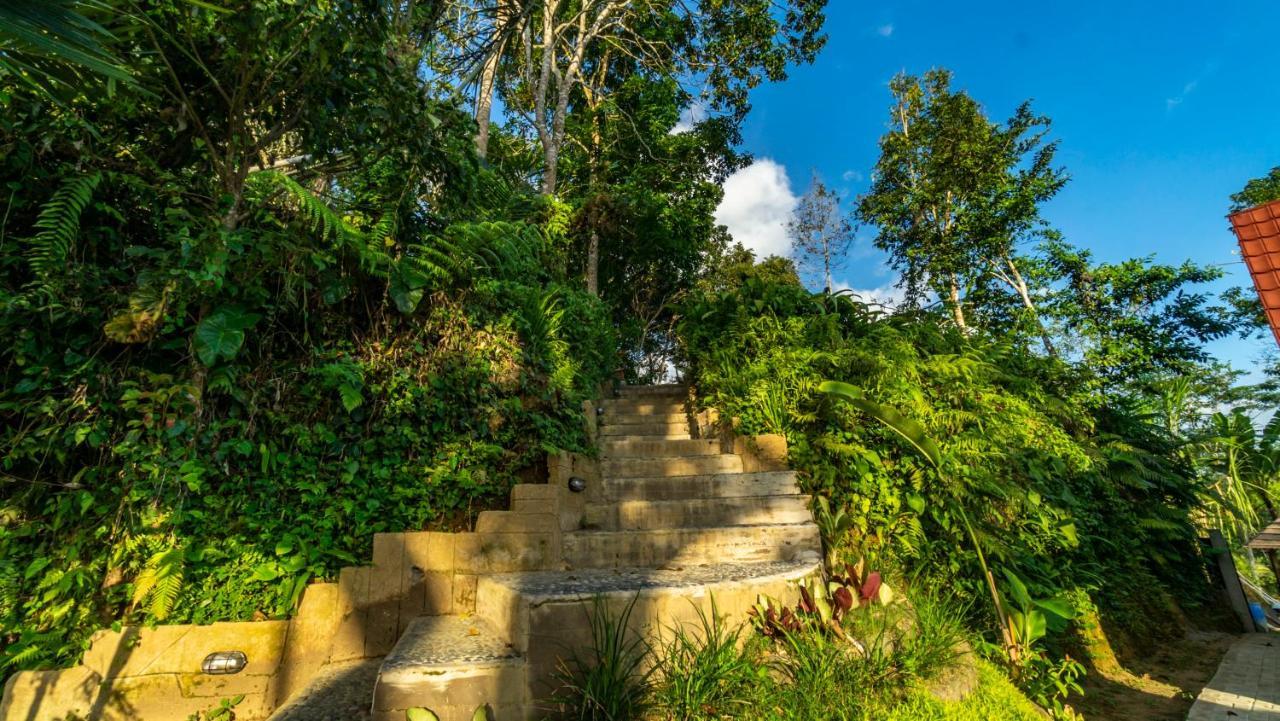 Anja Villas Ubud Tegallalang  Esterno foto